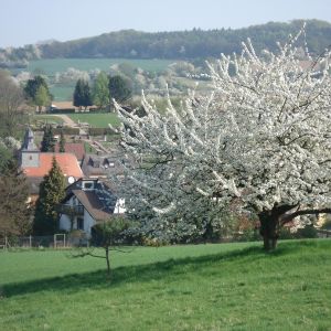 apfel_1